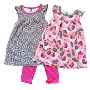Tea Collection Dresses & Leggings Set 18-24M